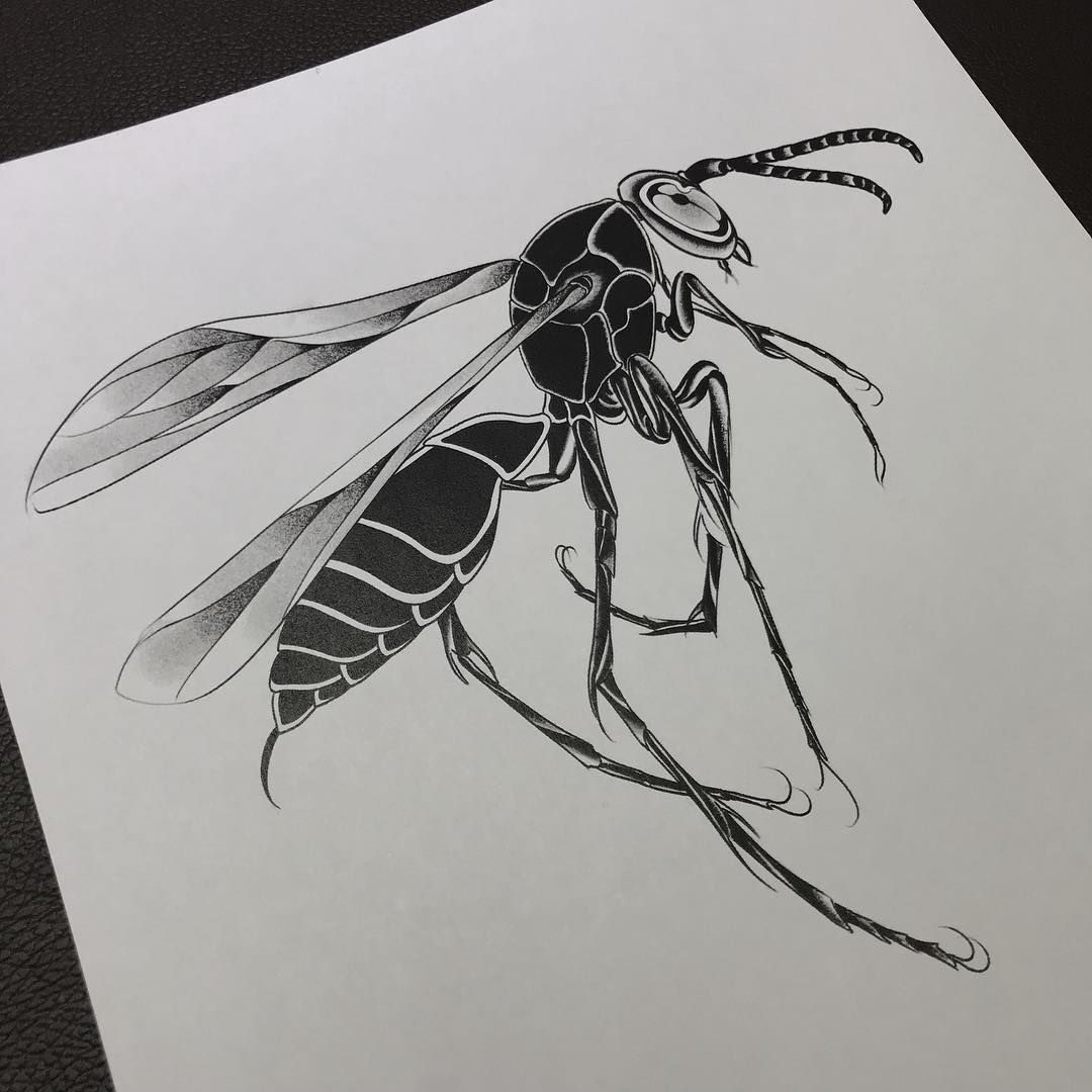 蚊子纹身手稿